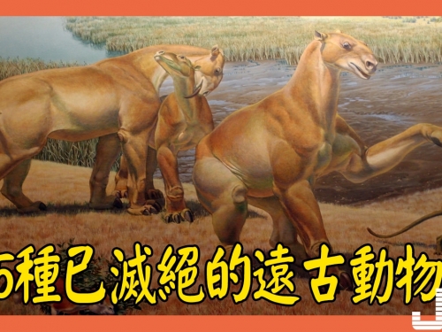 5種已滅絕的遠古動物，第3種在中國生活，或仍存在