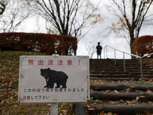 日拉麵店員工把熊打跑後滿臉血淡定上班 店長曝超狂背景：他是傳奇