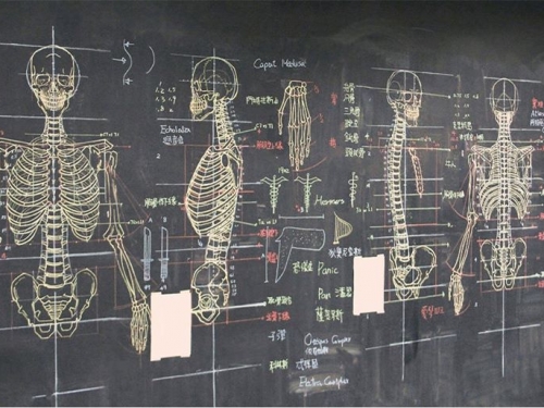 台灣帥哥老師紅到日本 版畫人體骨骼栩栩如生