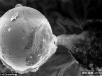 《異種》成真　科學家：地球發現外星人散布的生命種子
