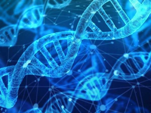男子驗出皇室DNA樂壞閃辭工作 「啪啪」戴套防女友竊基因