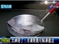 太神奇了！這條魚被冰凍成冰棒2年後竟然復活了，原來是這樣…