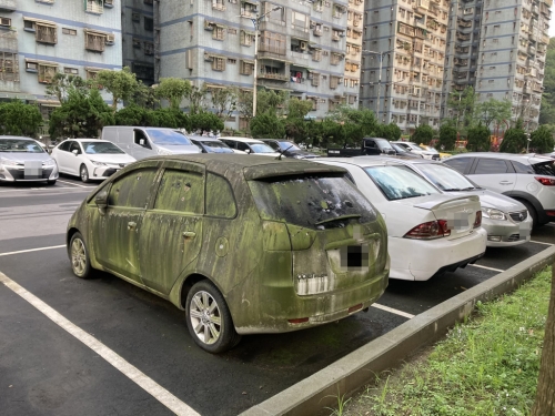 限量消光綠？停車場赫見「雨林塗裝」轎車 網曝來自這裡