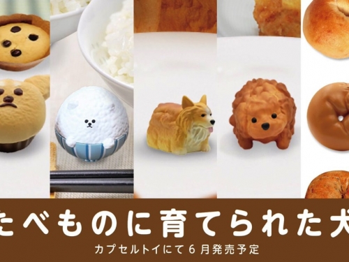 超療癒！是食物還是狗狗？日本插畫家JUN筆下「被食物帶大的狗狗」實體扭蛋化！