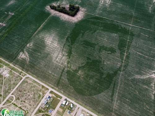 足球 | 超狂致敬！阿根廷農民種植巨幅梅西玉米田肖像