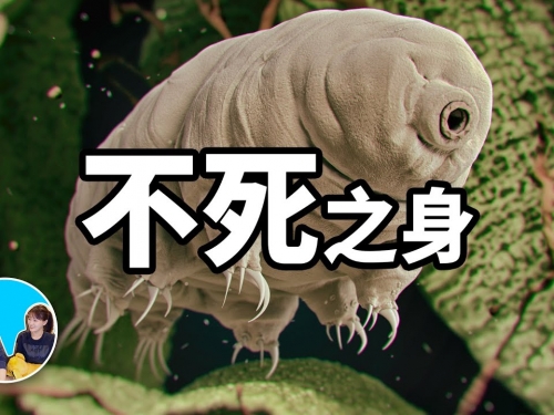 【震撼】不死之身，地球上最強悍的生物告訴我們人類永生的正確方向，水熊蟲和扁平蟲...
