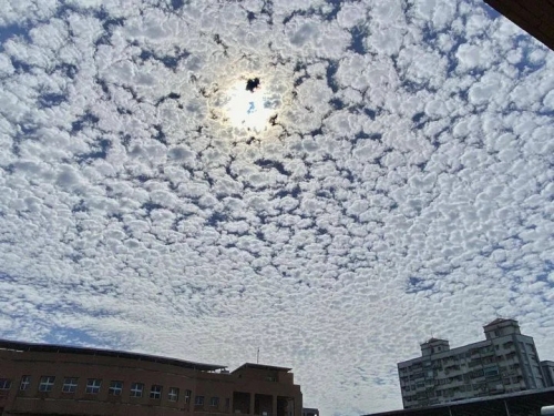 天空布滿棉花糖般高積雲 氣象署：變天前兆