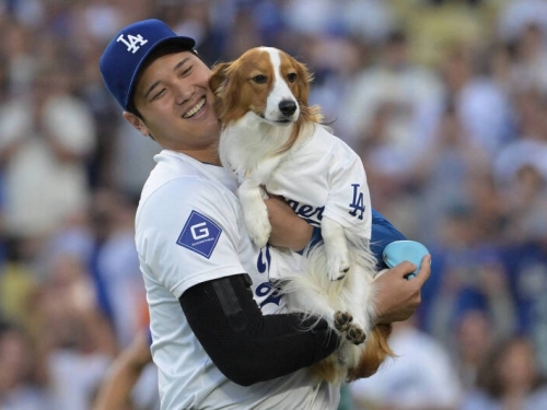 MLB》追平A-Rod26年神紀錄！ 大谷翔平達標 「42轟、42盜」