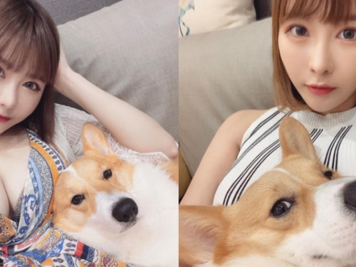 看看這鄙視的眼神！「Sylvia 希維亞」愛犬爽躺人肉軟墊好羨慕