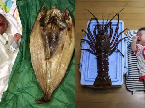 日本超巨「魚乾」、「龍蝦」比嬰兒大！ 網嚇：以為是合成照