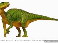 日本福井縣發現化石　確認是新品種草食性恐龍