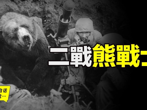 二戰中的熊戰士：抽煙、喝酒、把妹，還能晉升下士……|自說自話的總裁