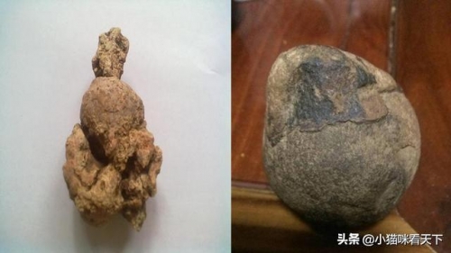 科學家發現距今143萬年前，帶DNA的史前人類“糞便化石”