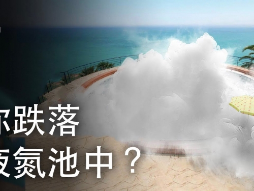如果你跌落到液氮池中？| 大膽科學