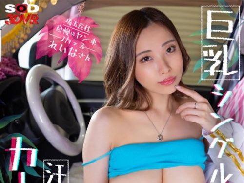 DSVR-01629 【VR】【8K】埼玉在住 自慢のヤン車 Jカップれいなさん 巨乳シングルマザーと...