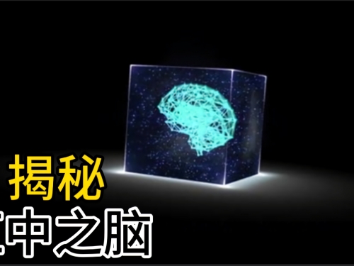 人死後，摘除大腦置於營養液中，能否借計算機在虛擬世界實現永生
