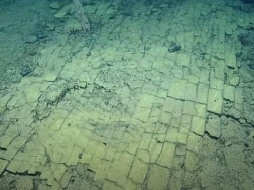 太平洋海底驚見神秘「黃磚路」 條紋清晰可見
