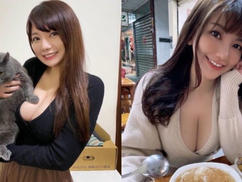 嘉義走失貓懸賞金50萬引起關注　「巨乳飼主」曝光更讓網友暴動
