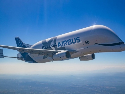 空巴超萌「大白鯨XL」正式服役 機身、貨艙空間全面升級