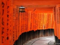 觀光客必去！日本人也該去的『日本觀光勝地』TOP20