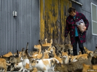 世界最奇葩城鎮 中國矮人城上榜