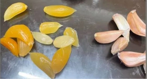 「蒜頭發黃像橘子」能吃嗎？