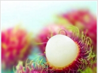 41種瘋狂的水果多半還真沒見過，你吃過嗎？