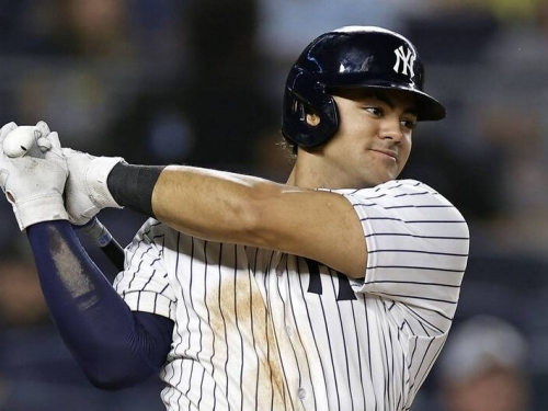 MLB》洋基布總盛讚「火星人」潛力！ 還點名秋聯破紀錄的神秘快腿