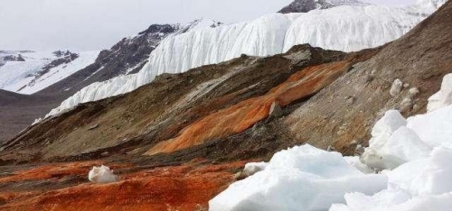 關於南極半島下起血紅色的雪科學的解釋