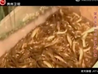 重慶李老漢家中竟然挖出取之不竭的魚泉，這發現魚泉的過程可太神奇了……
