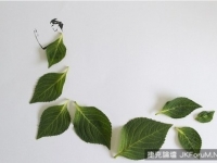 粽葉→禮服..這麼簡單我們竟沒想過！