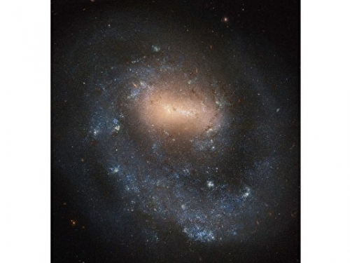 NGC 4618：只有一個旋臂的螺旋星系