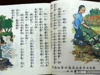 學生時期背的「最無用知識」？第一名不意外就是…
