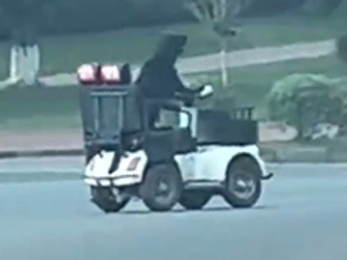 驚見拉不拉多「獨自開車」 飼主自豪：僅學習1個月