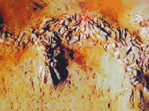 8000年前新石器時代遺址 發現19.7公尺「中華第一龍」