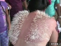 「女體刺蝟」身插2000根針　嗆鬥牛士有膽也來體驗