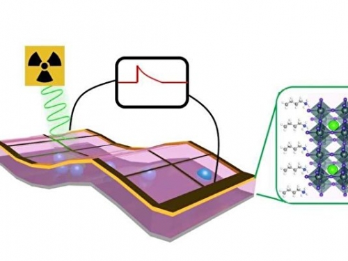 新型探測器為X光成像技術帶來革命性變化