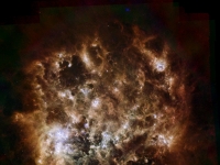 麥哲倫星雲