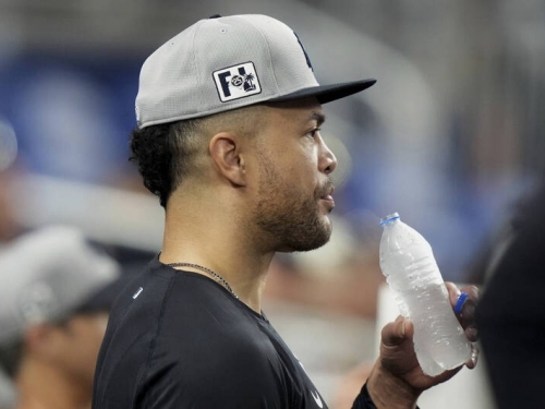 MLB》洋基怪力男好消息 主帥曝近日開始實戰投打訓練