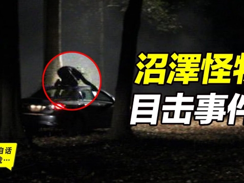 一個用曼德拉效應讓現實變成魔幻的故事……沼澤怪物目擊事件，沼澤中的三指人形怪物...