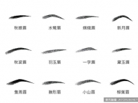 從眉毛也能看出你的人格特徵！