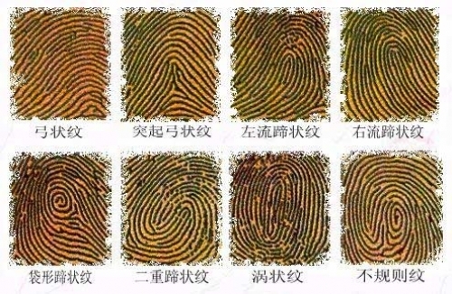 震驚：中國古代用指紋破案 領先歐洲近2000年