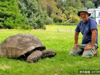 全球最年長烏龜　183年來首次「洗澎澎」(沖澡啦)！