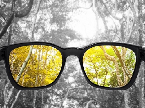 高科技隱形眼鏡可矯正色盲