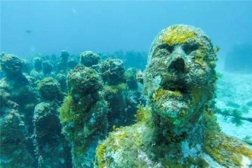 你聽說過“水族人”嗎？已深藏海底10年，如今被政府明令保護
