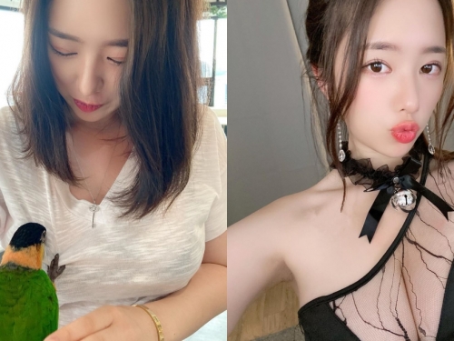 鸚鵡都忍不住討奶吃！南韓「巨乳正妹」BITNARA餐廳逗鳥，飽滿上圍慘遭攻擊！