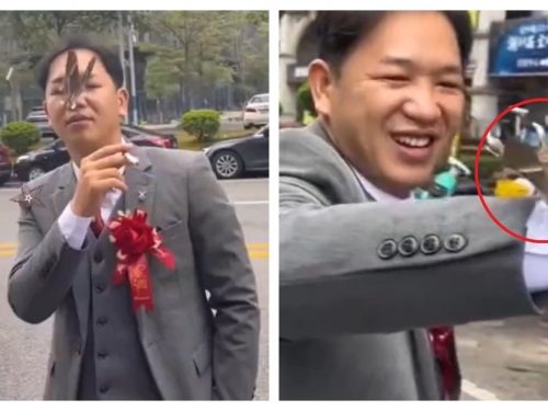 婚禮ing「幸運靈蛾」飛來狂繞圈！停房仲新郎臉上不走 隔天他爽賣1棟房賺翻