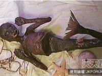 震驚世界 男子意外發現3000年前神秘美人魚化石