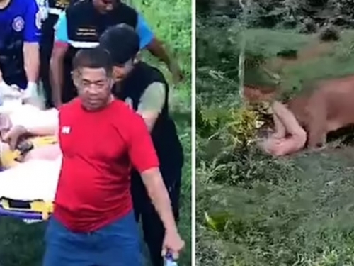 色男全裸硬上母牛 慘被甩落在地狠頂