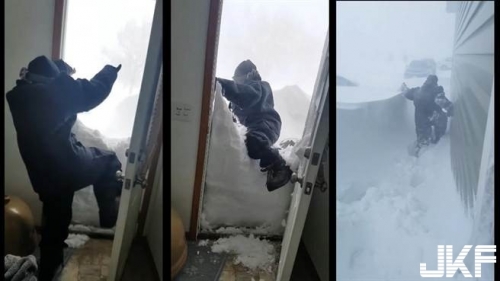 北美的雪天不是美景而是災難！一早出門就看到這個